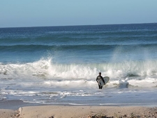 Pollock Beach Singa